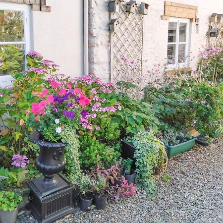 The Tower Cottage Llangollen Exterior foto
