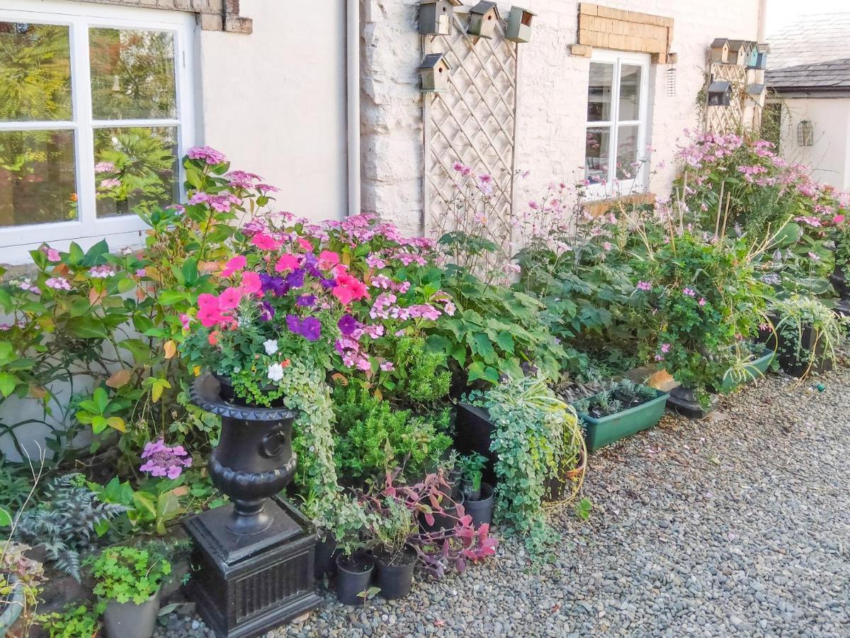 The Tower Cottage Llangollen Exterior foto